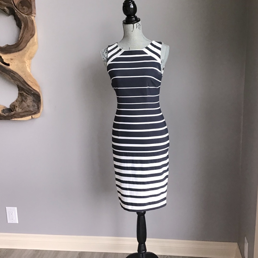 RW&CO Sleeveless curve hugging dress